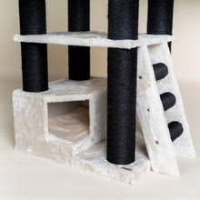 Corner Coon Blackline Beige