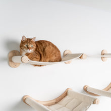 Klättervägg för Katter - Väggbro (Beige)