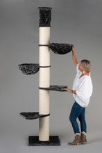 Maine Coon Tower Mörkgrå