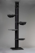 Maine Coon Tower Blackline Mörkgrå