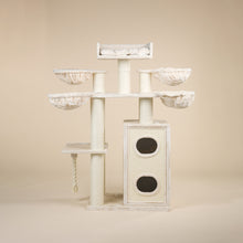 Cat Paradise Beige Plus