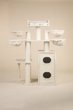 Cat Paradise Beige Plus