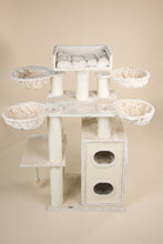 Cat Paradise Beige Plus