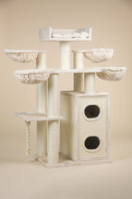 Cat Paradise Beige Plus