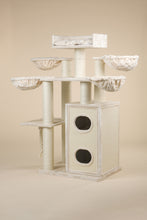Cat Paradise Beige Plus