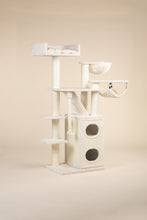 Cat Penthouse Beige Crown