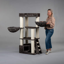 Corner Coon Taupe Grå