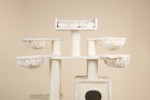 Cat Paradise Beige Plus