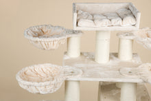 Cat Paradise Beige Plus