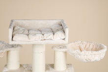 Cat Paradise Beige Plus