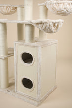 Cat Paradise Beige Plus