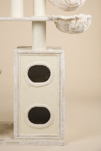 Cat Paradise Beige Plus