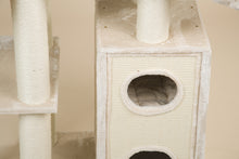 Cat Paradise Beige Plus