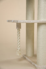 Cat Paradise Beige Plus