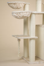 Cat Paradise Beige Plus