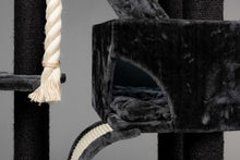 Kilimandjaro Blackline Mörkgrå Crown