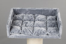 Maine Coon Lounge Ljusgrå