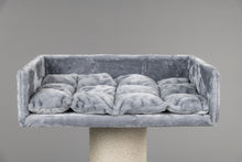 Maine Coon Lounge Ljusgrå