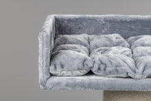 Maine Coon Lounge Ljusgrå