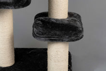 Devon Rex Mörkgrå Plus