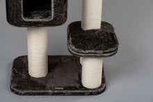 Devon Rex Taupe Grå Plus