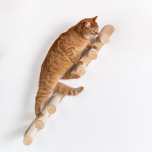 Klättervägg för Katter - Klättersteg (Beige)