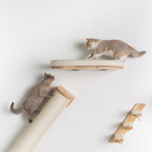 Klättervägg för Katter - Väggmonterad klätterstång XXL (Beige)