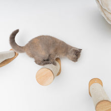 Klättervägg för Katter - Klättersteg Set (Beige)