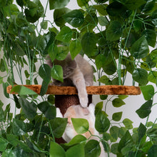 Klösträd Design Natural Leaves (Brun)