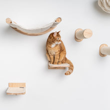 Klättervägg för Katter - Väggplattor - Set 3 (Beige)