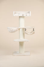 Royalty Beige Crown Plus