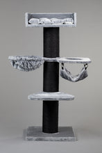 Royalty Blackline Ljusgrå Crown Plus