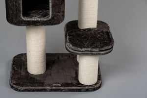 Devon Rex Taupe Grå Plus