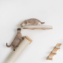 Klättervägg för Katter - Väggmonterad klätterstång XXL (Beige)