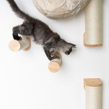 Klättervägg för Katter - Klättersteg Set (Beige)