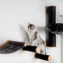 Klättervägg för Katter - Klättersteg Set (Blackline)